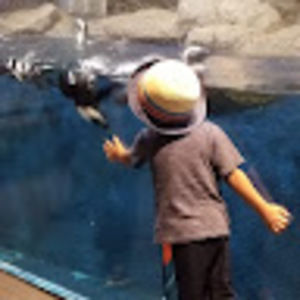 Meet your Posher, Wendy